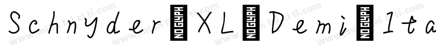 Schnyder XL Demi Ita字体转换